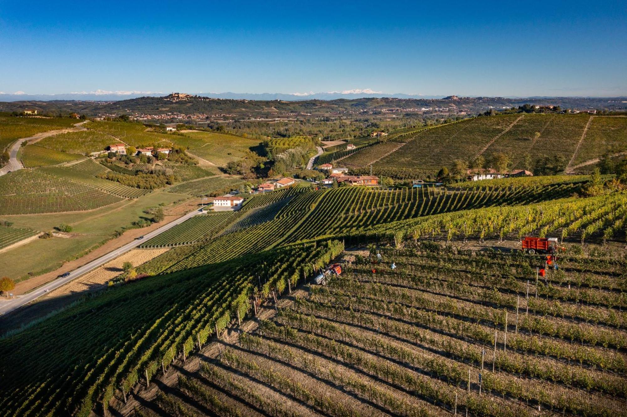 Agriturismo Antichi Poderi Gallina Neive Exterior foto
